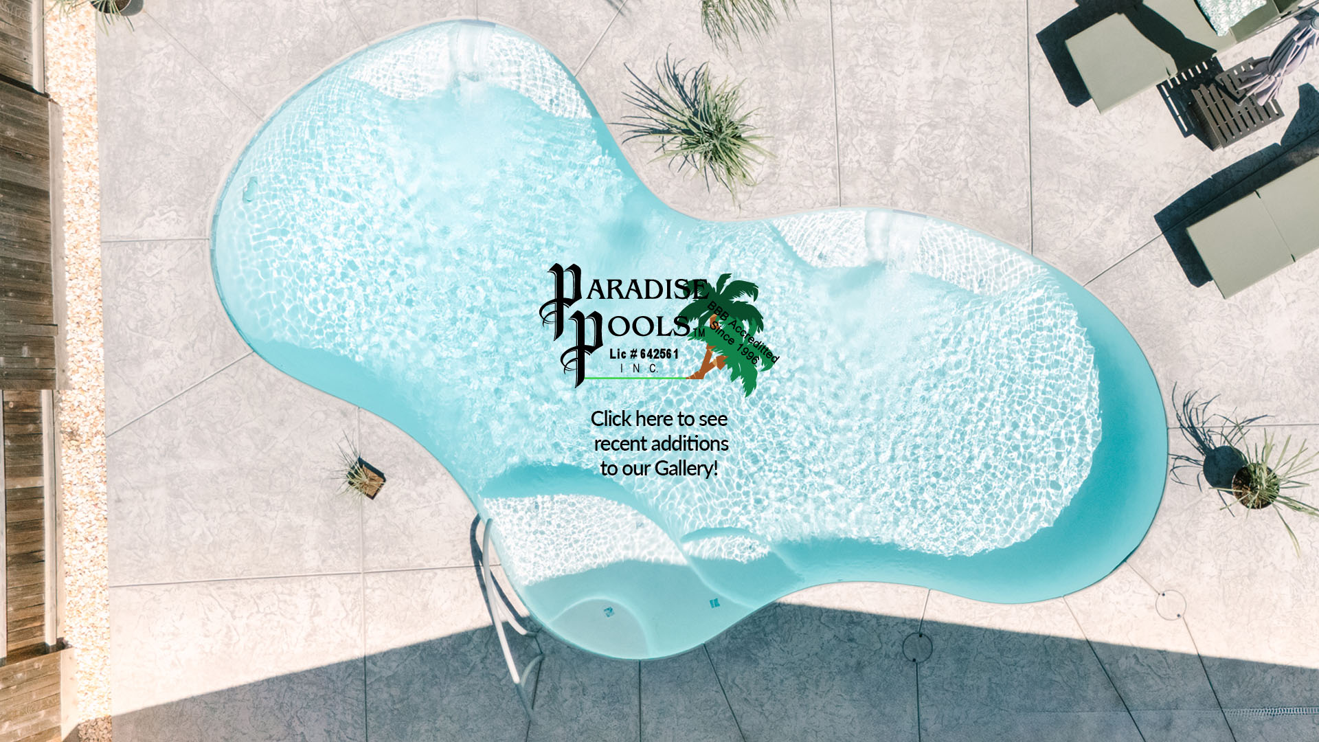 Recent additions to our Gallery including this Pool with Tanning Ledges and Water Accents